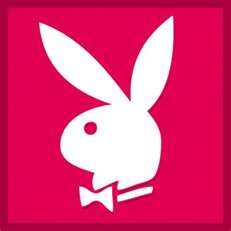 Bunny.jpg