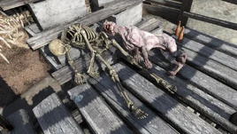 FO76WA Mr. Thomas skeleton and Winston