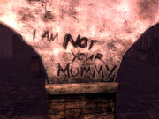 I am not your mummy graffiti