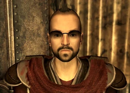 Weather station guard