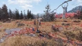 FO76 Cranberry Bog (Primal Cuts)