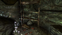 Inside the Coyote Mines