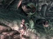 Diese Sporenpflanze versperrt den Weg