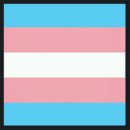 Transgender Pride flag