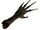 Rawr's talon