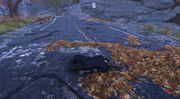 FO76 Dead Responder.jpg