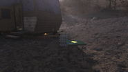 Betty's journal