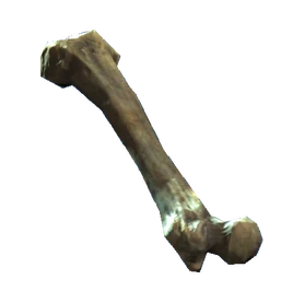 Femur