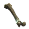 Femur