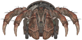 Fo4FH Hermit