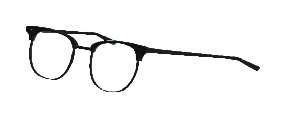 fallout tactics librarian glasses