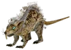 Giant rat