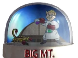 Snow globe - Big MT