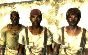 FO3Junkies.jpg