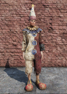 Clown outfit and hat (female)