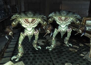 Mirelurks AWM.jpg (300 KB)