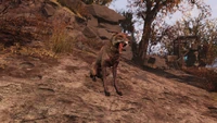 FO76 Tired boi.png (3.38 MB) Observing fox