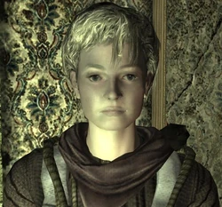 GoodspringsSettlerGeckos