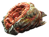 Bloatfly meat