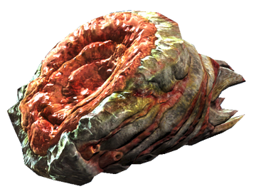 Meat bag (Fallout 4), Fallout Wiki