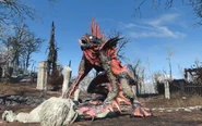 FO4 Mirelurk king