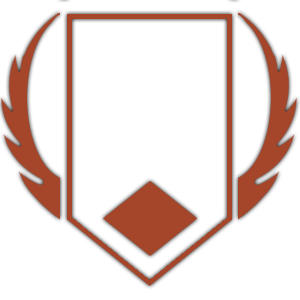 brotherhood of steel fallout 4 ranks brotherhood of steel fallout 4 ranks