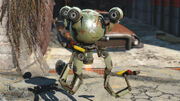 Fo4 Mr. Gutsy's Curfew.jpg