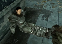 Paladin Matiz, REPCONN headquarters