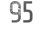 VaultNumber95 d