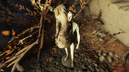 FO76 Bug Corpse & Mannequin
