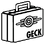 Icon geck