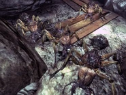 Springvale ants.jpg (316 КБ) Гігантські мурахи в підвалі школи Спрингвейла