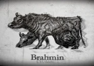 BSoTM.jpg (56 KB) Konzeptzeichnung