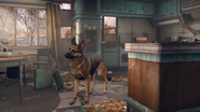 Dogmeat in the Fallout 4 trailer