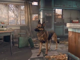 Dogmeat (Fallout 4)