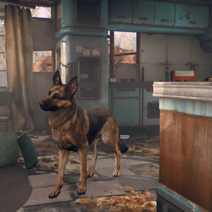 Dogmeat Fallout 4 Fallout Wiki Fandom