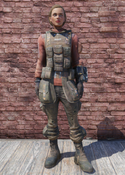 FO76 Field Scribe Armor.png