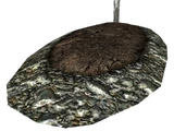 Grave (Fallout: New Vegas)