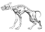 Mutant dog concept art