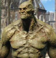 Strong, a potential super mutant companion