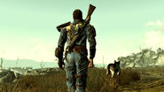 O Lone Wanderer caminhando pela Capital Wasteland