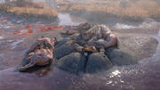 FO76WA Sleeping Sheepsquatch.jpg