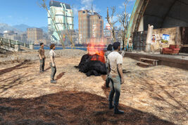 Fo4 PotC initiate