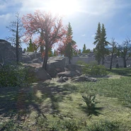 Shelters shelterentrance triumphterracehousingdevelopment c6.png (436 KB)