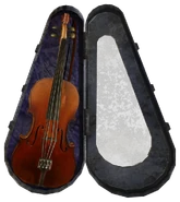 El violín y su estuche