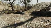 FO76BS AbraxoIntel Unmarked N Tycoon Lake PTS