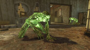 Glowing trogs in the Trench