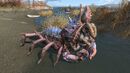 FO4 Albino mirelurk hunter