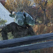 FO76-Fasnacht-Bucking-Brahmin-Mask-Storefront-2.png (330 KB) 'Bucking' variant