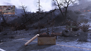 FO76 RE Blood Eagle Execution.png